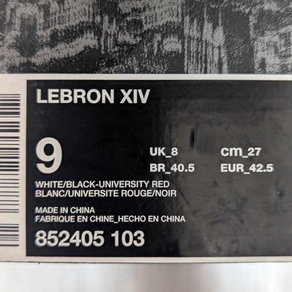 LeBron James 14 flip the switch - Picture 5 of 5